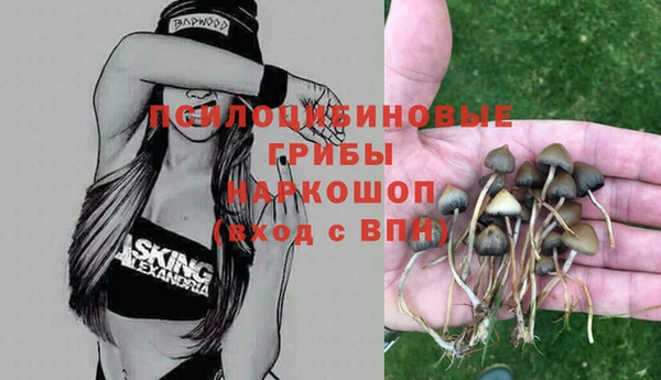 эйфоретик Баксан